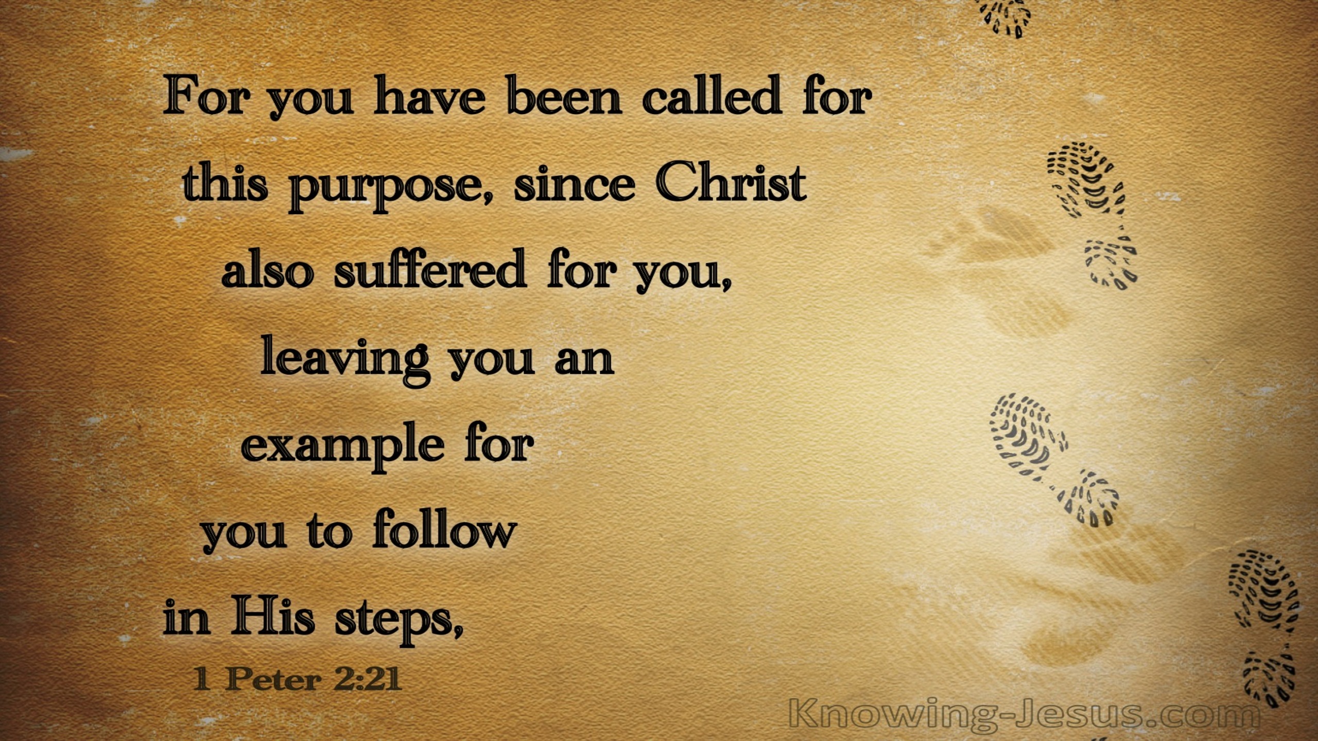 1 Peter 2:21 You Have Been Called For This Purpose (brown)